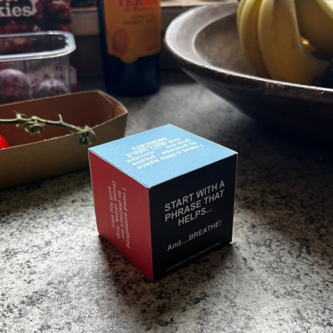 THE CONNECTION CUBE