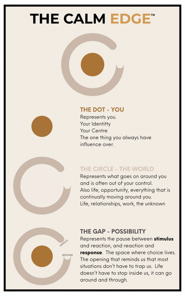 CALM EDGE LOGO EXPLAINED-2